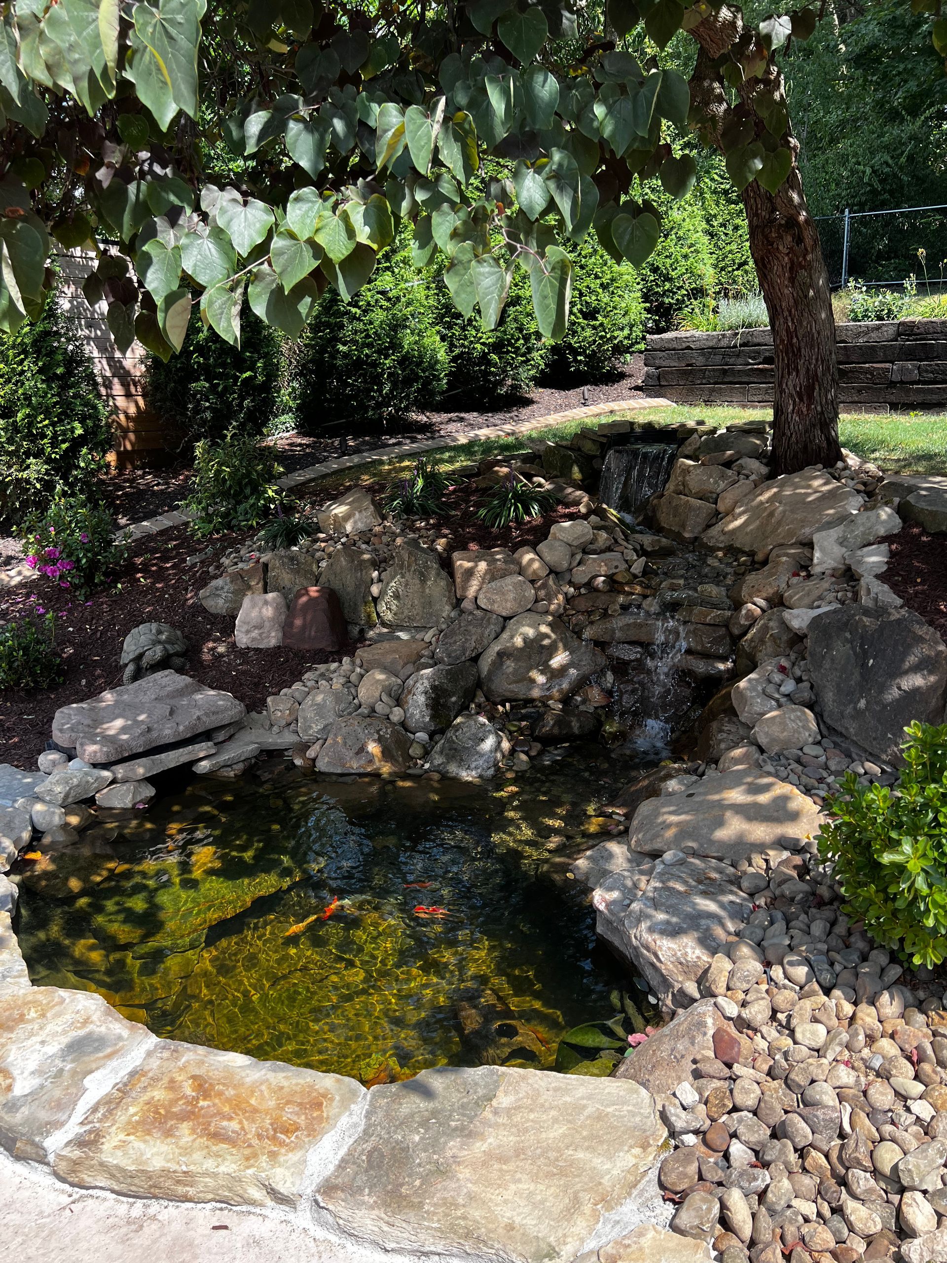 Small garden pond with clear water, rock border, and leafy trees overhead