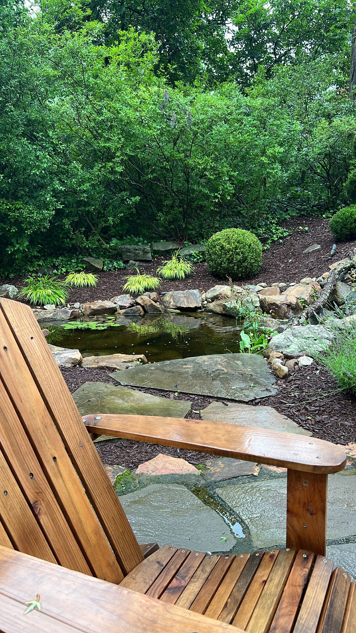 Wooden deck chairs overlooking a small backyard pond surrounded by lush green trees and rocks.
