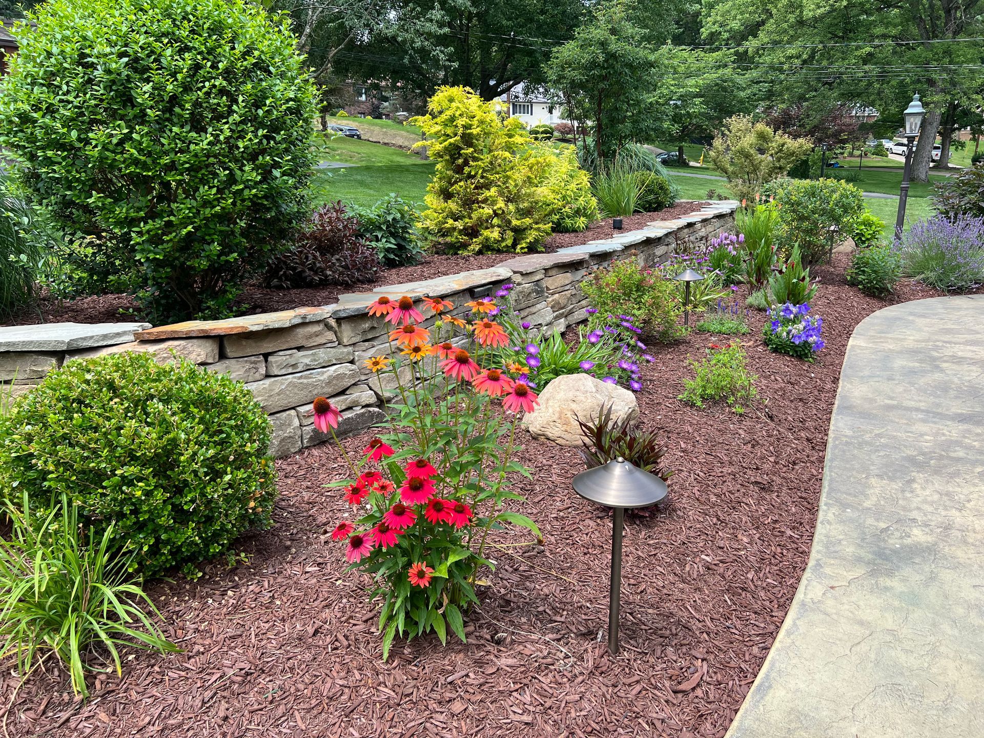 Colorful flower bed with red and purple blooms, low stone wall, and shrubs along a landscaped garden path
