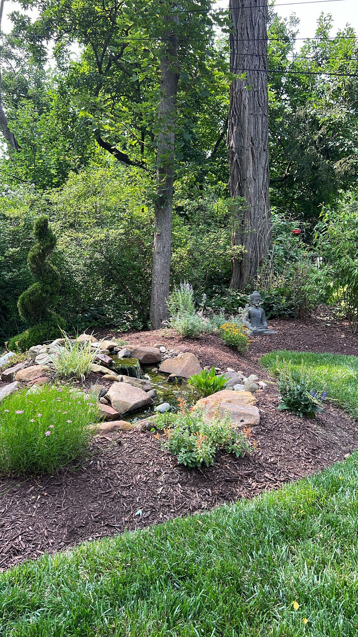 Natural garden bed with rocks, mulch, and tall trees surrounded by green lawn and shrubs
