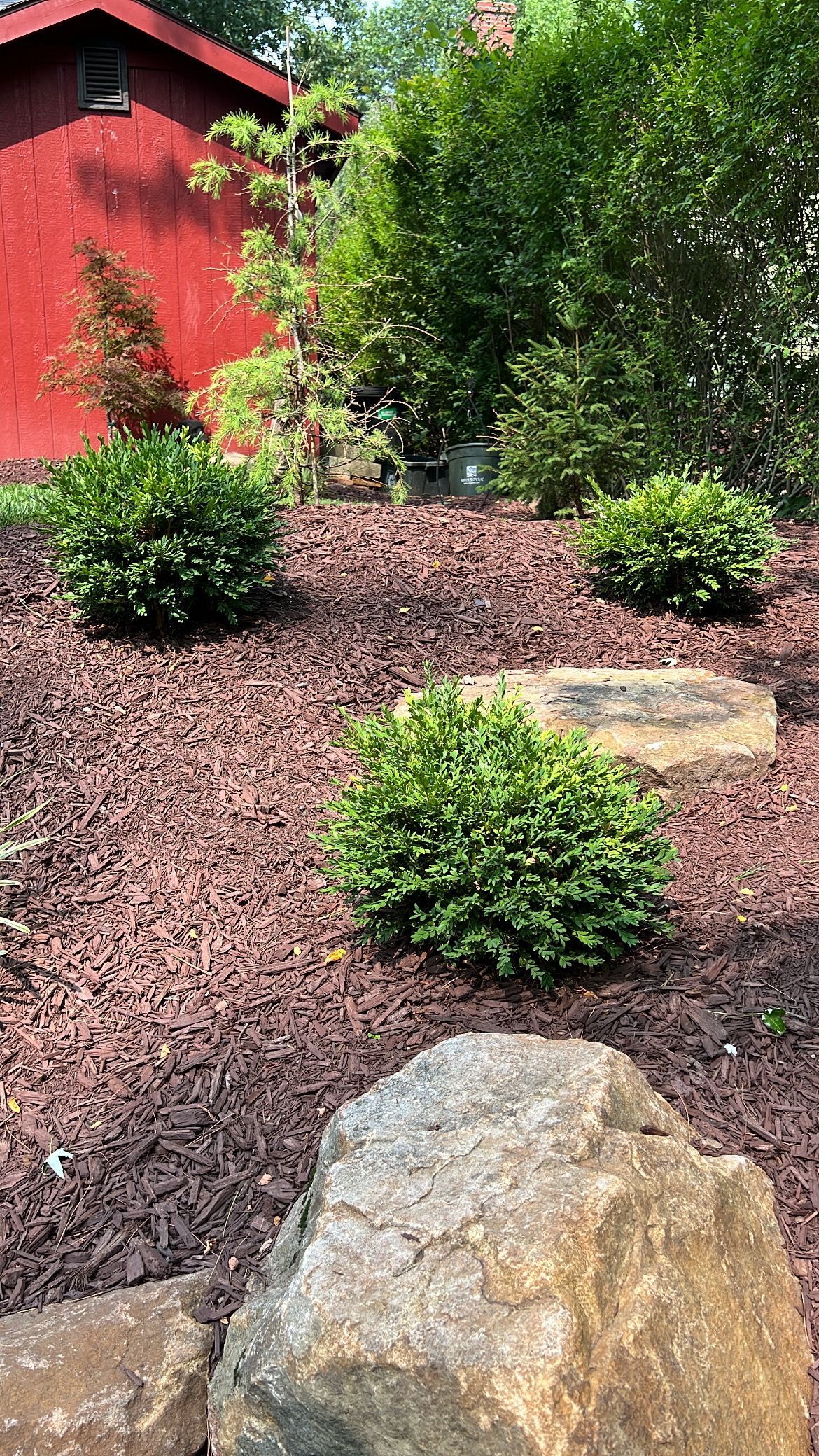 Mulched garden with shrubs and large rocks beside a red building and green trees