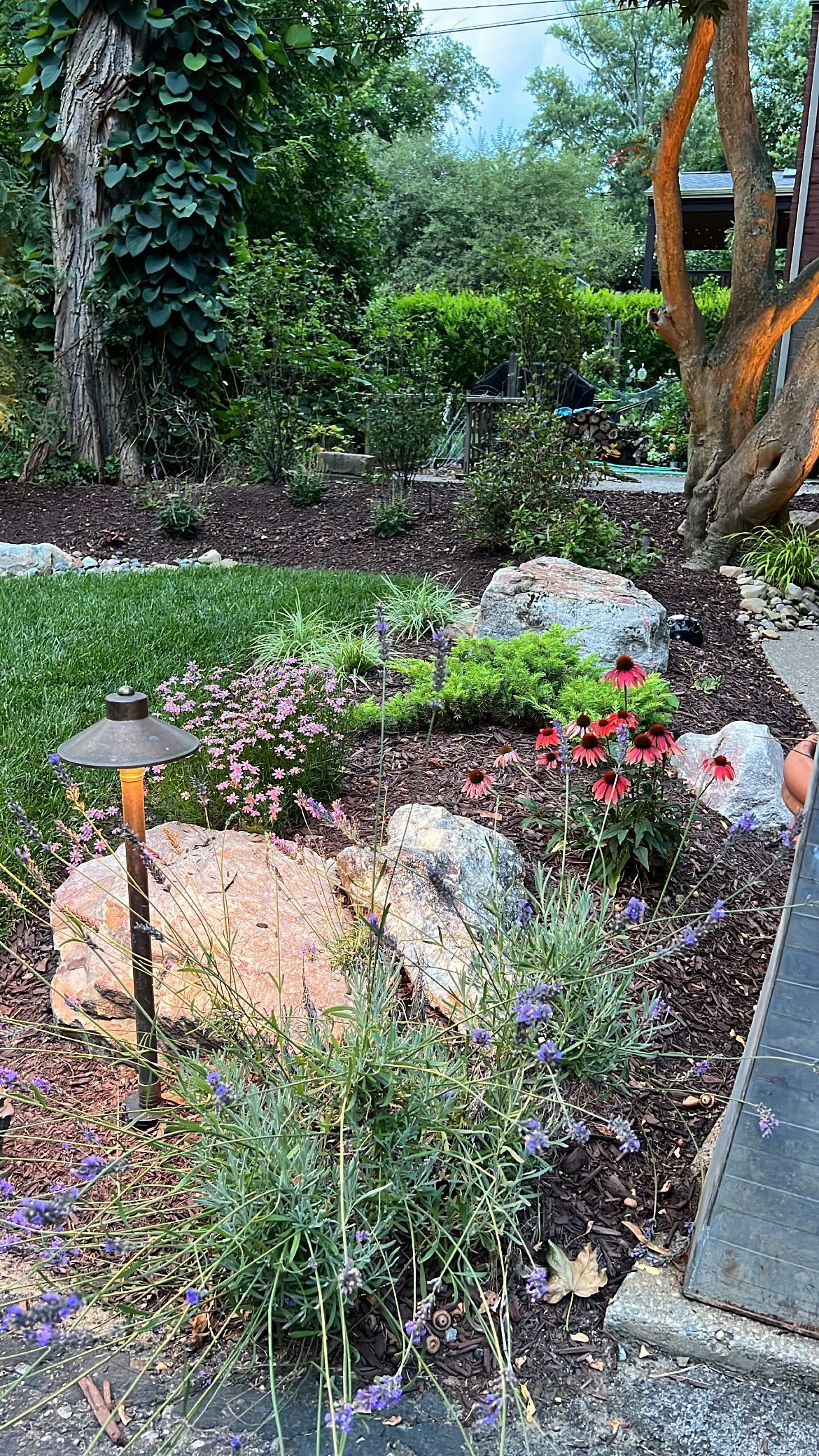 Landscaped garden bed with rocks, red flowers, and green shrubs beside a walkway