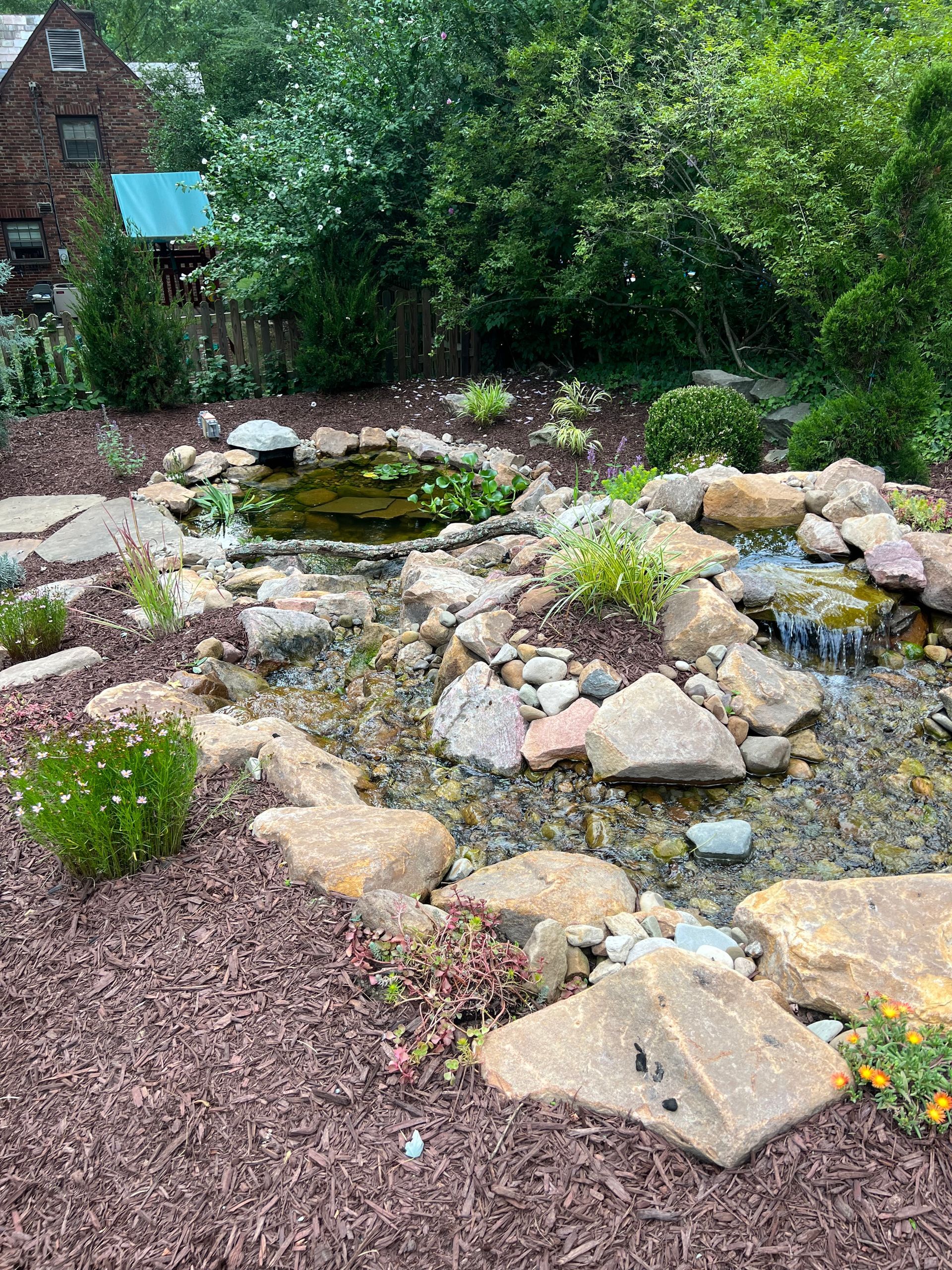 Rock garden with a small pond, stones, and lush green plants beside a house