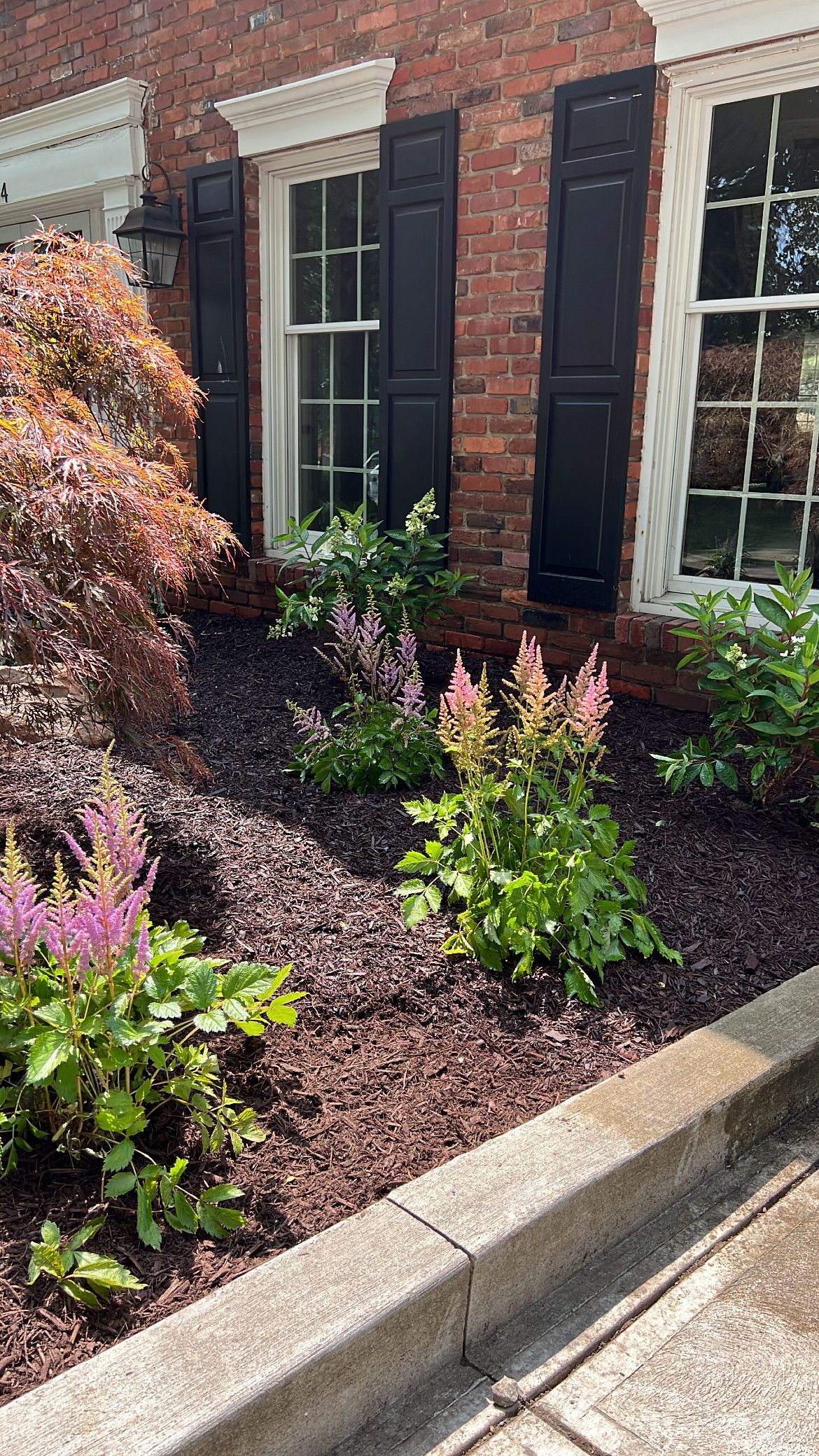Brick house window with white trim beside a landscaped flower bed and curb edge