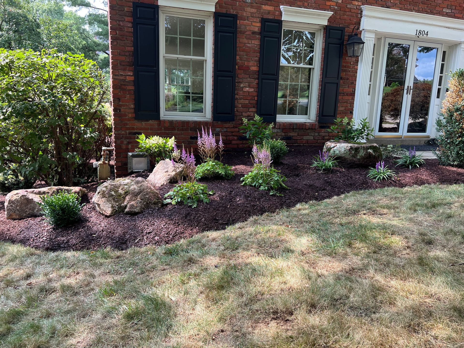 Front yard garden bed with rocks, purple flowers, mulch, and a brick house with black shutters