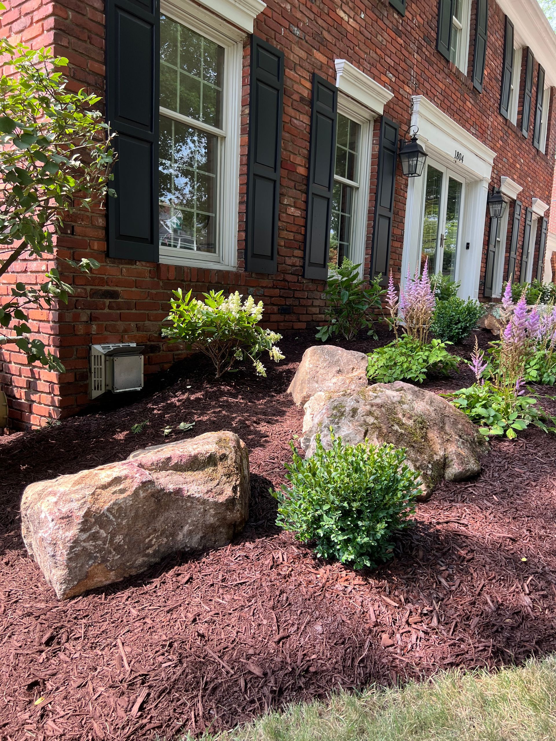 Brick house front garden with large rocks, shrubs, and purple mulch beneath windows with black shutters