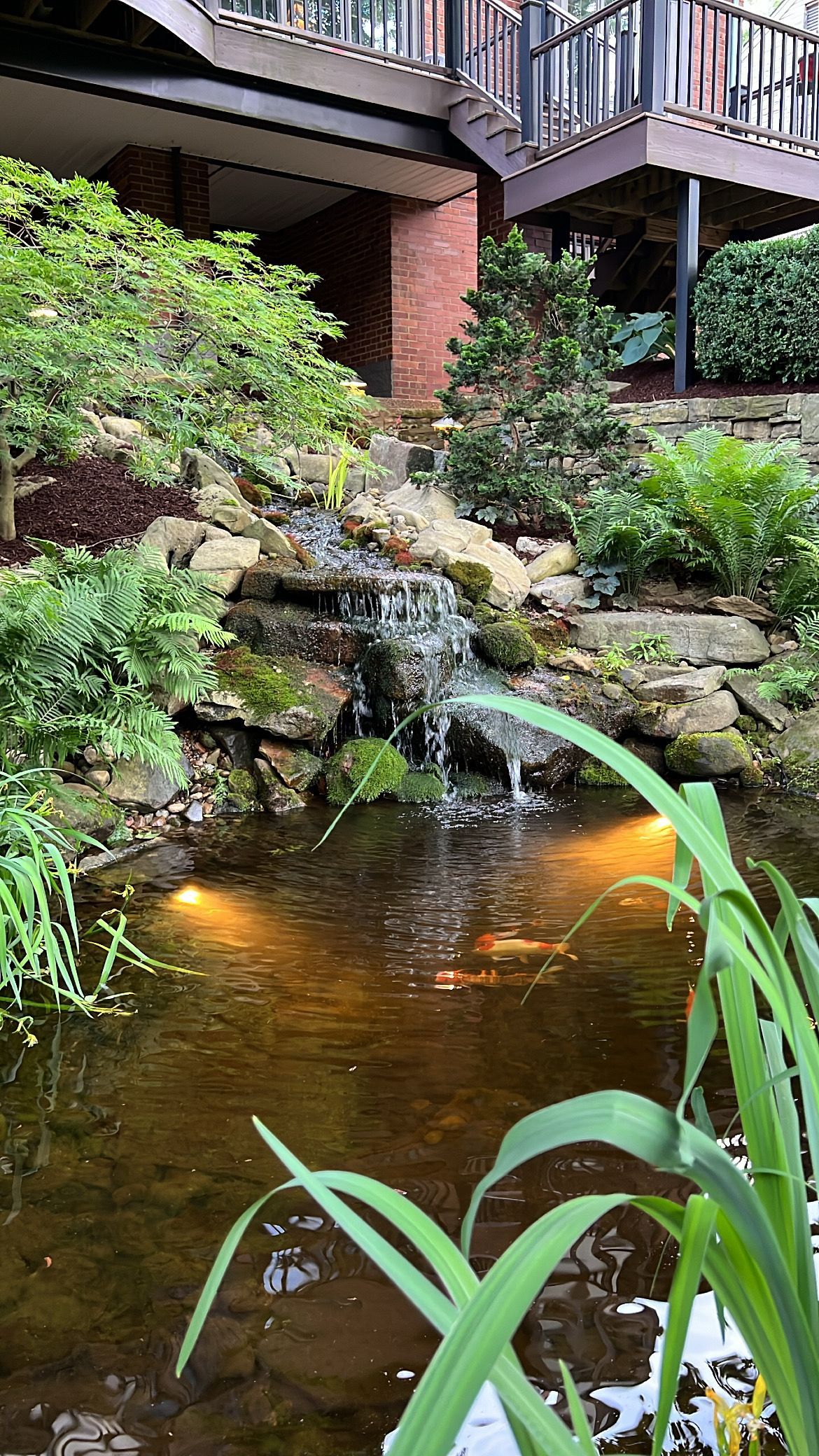 Lush garden pond with a small waterfall and brick building balcony above.