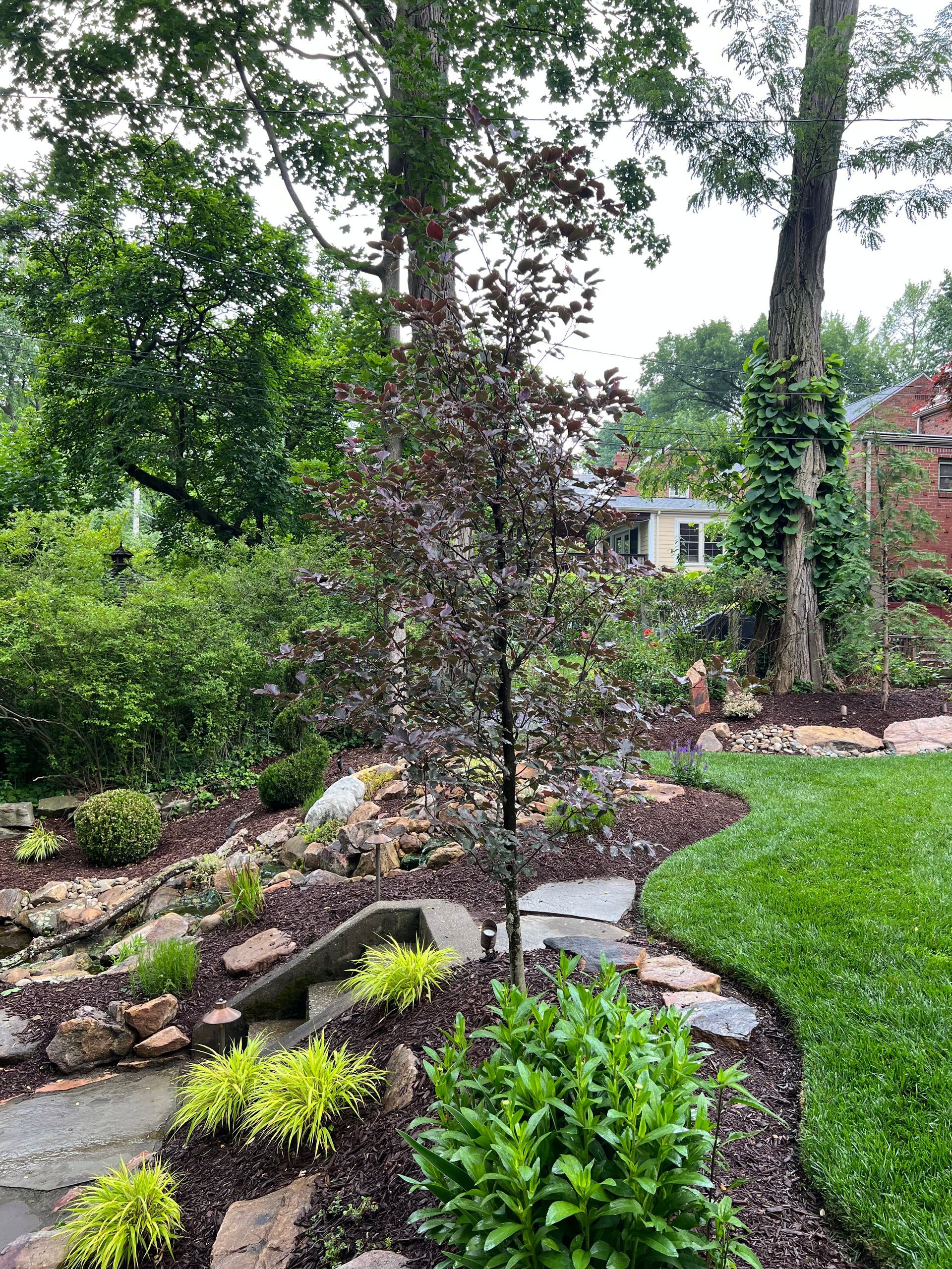 Lush landscaped garden with curved stone path, shrubs, trees, and a house in the background