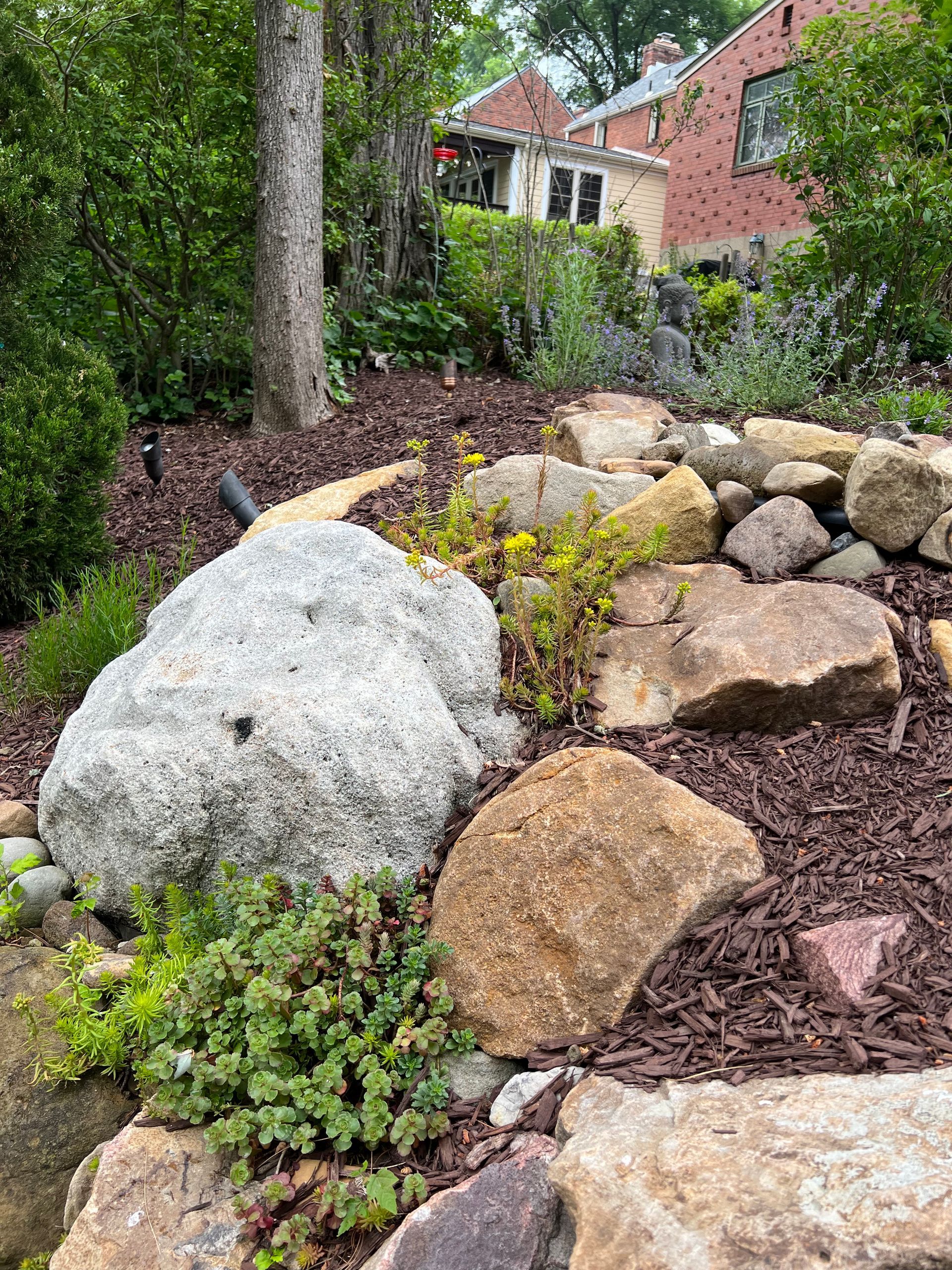 Rock garden with large boulders, yellow flowers, and shrubs in a landscaped yard
