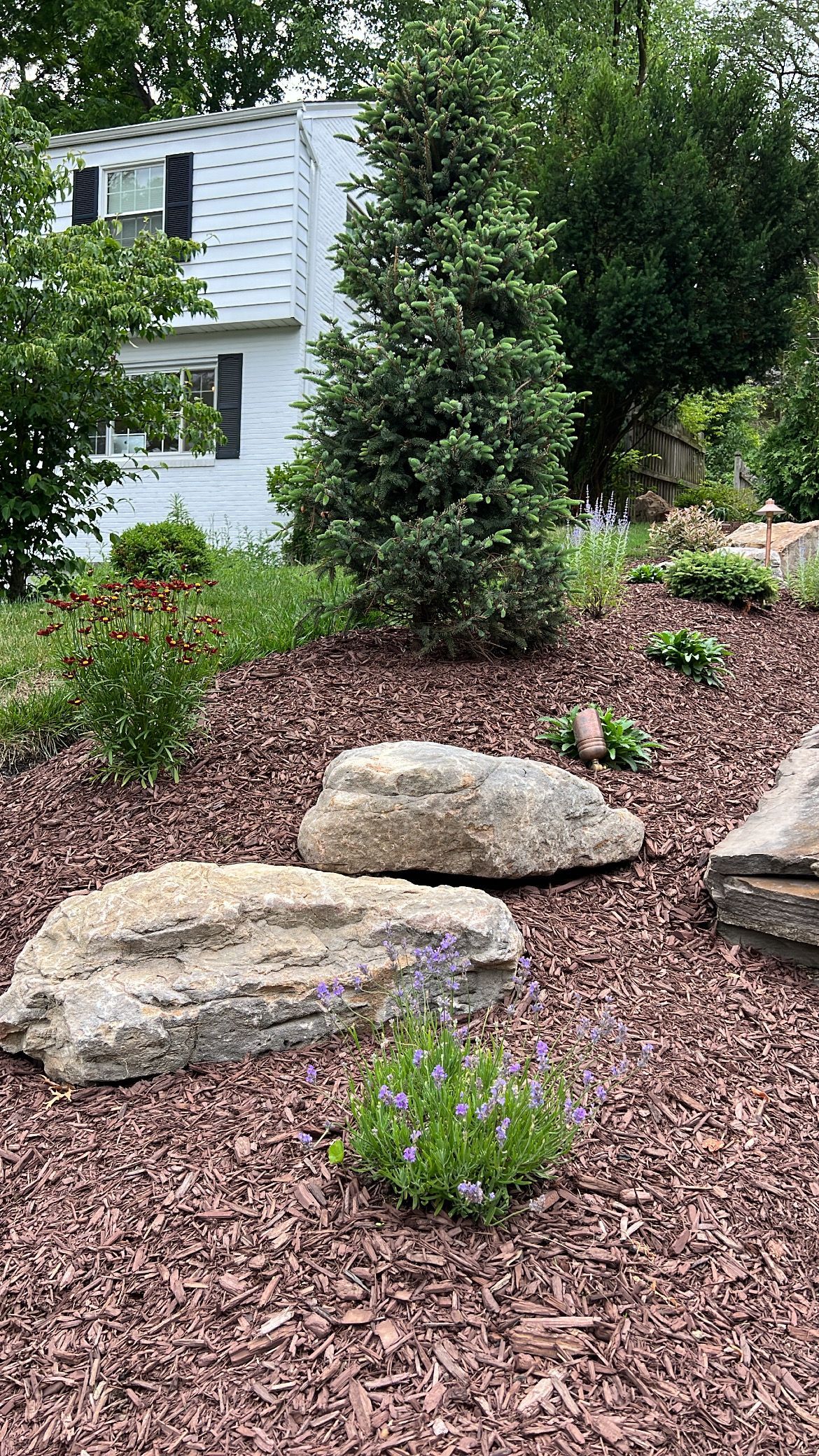 Mulched garden bed with large rocks, small flowering plants, and a leafy tree beside a house