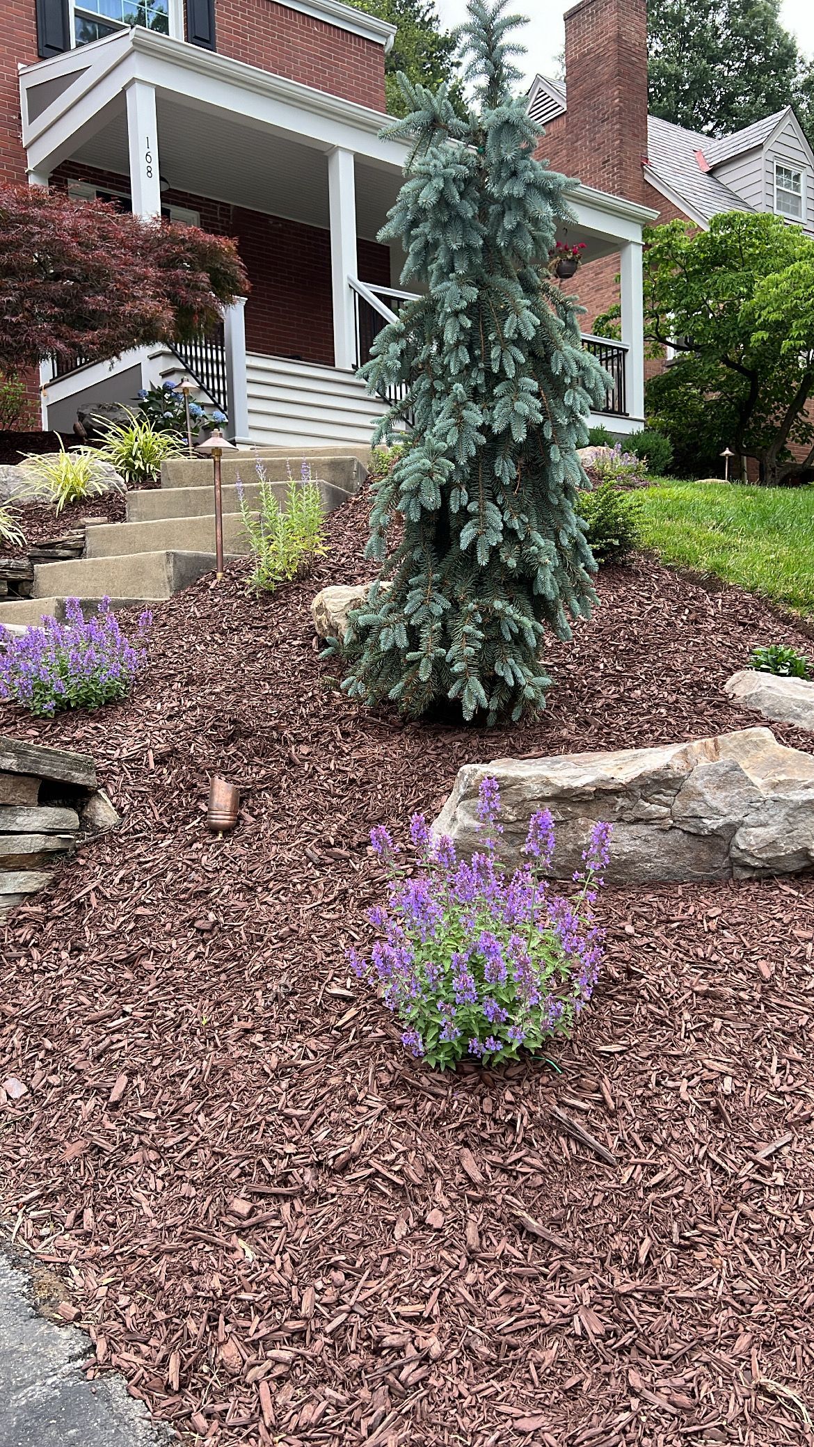 Mulched front yard garden with purple flowers, stone border, and a small evergreen tree by a porch