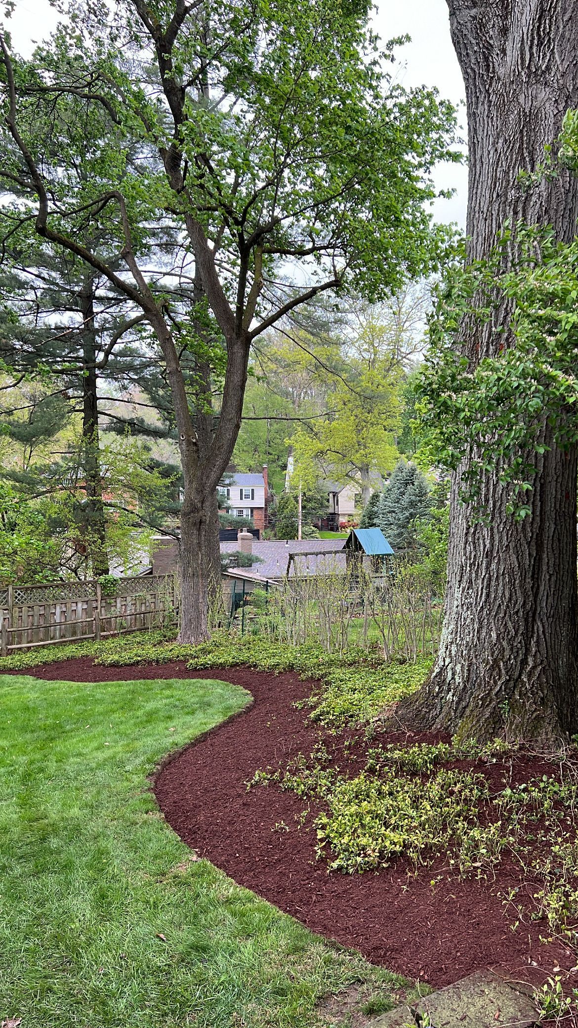 Garden path curving through lush green trees and grass after rain