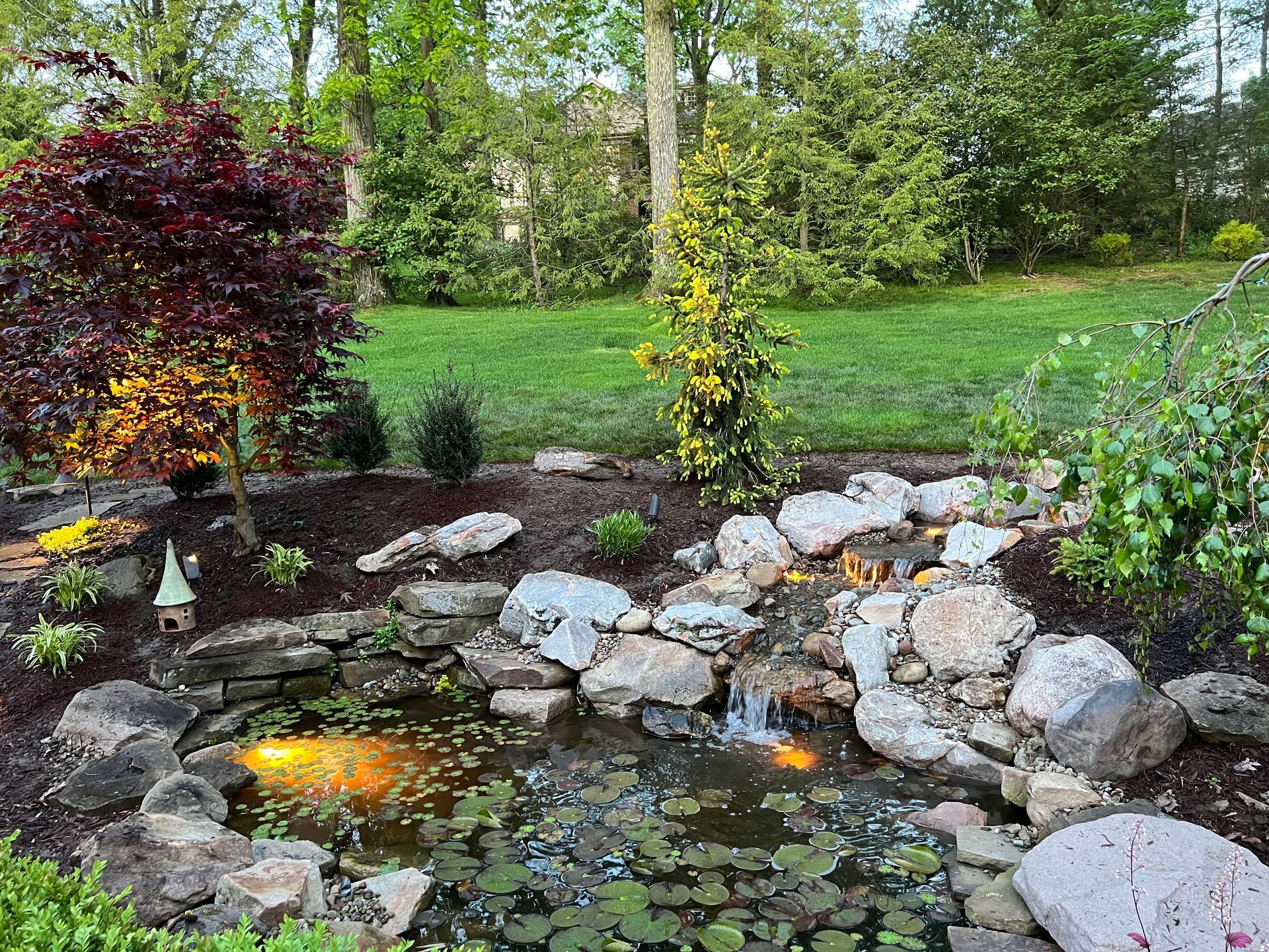 Garden pond with lily pads, rocks, and flowering shrubs beside a grassy yard