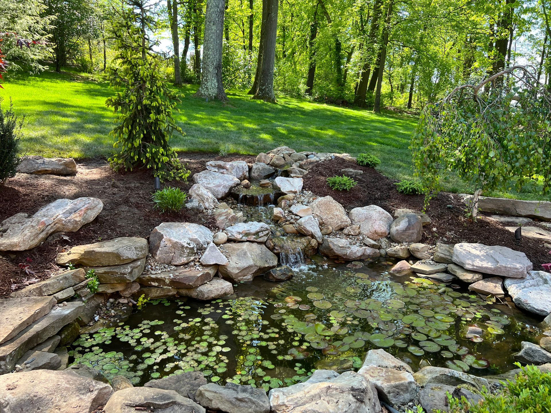 Rock-lined garden pond with green lily pads and trees in bright sunlight