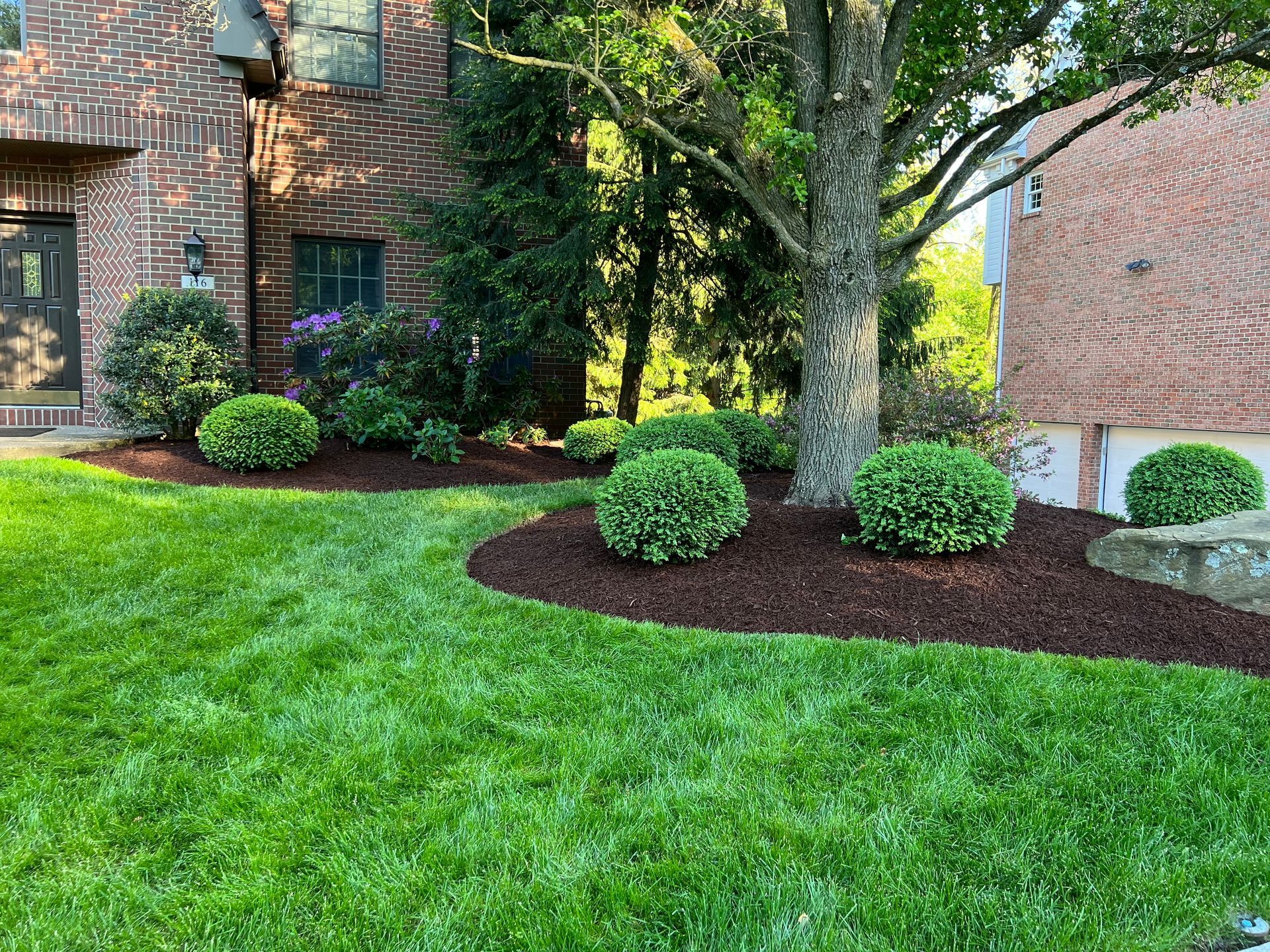 Brick house yard with green lawn, landscaped shrubs, and a large tree
