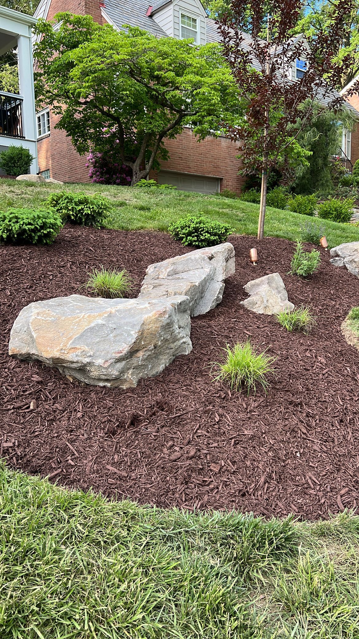 Landscape bed with large rocks, mulch, and small shrubs in a grassy yard