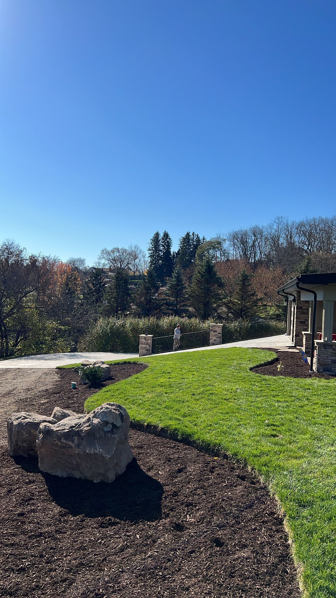 Sunny garden with green lawn, mulch beds, rocks, and trees under a clear blue sky