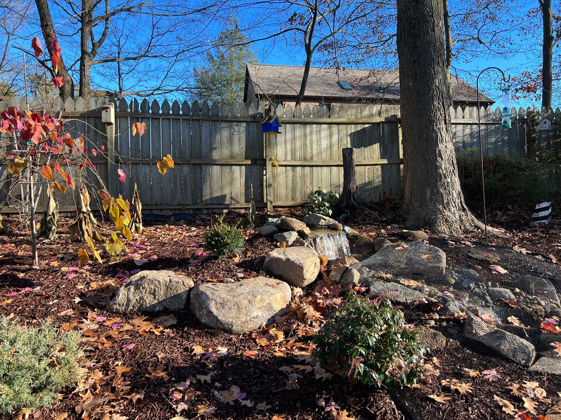 Backyard rock garden with autumn leaves, wooden fence, and large trees under a clear blue sky