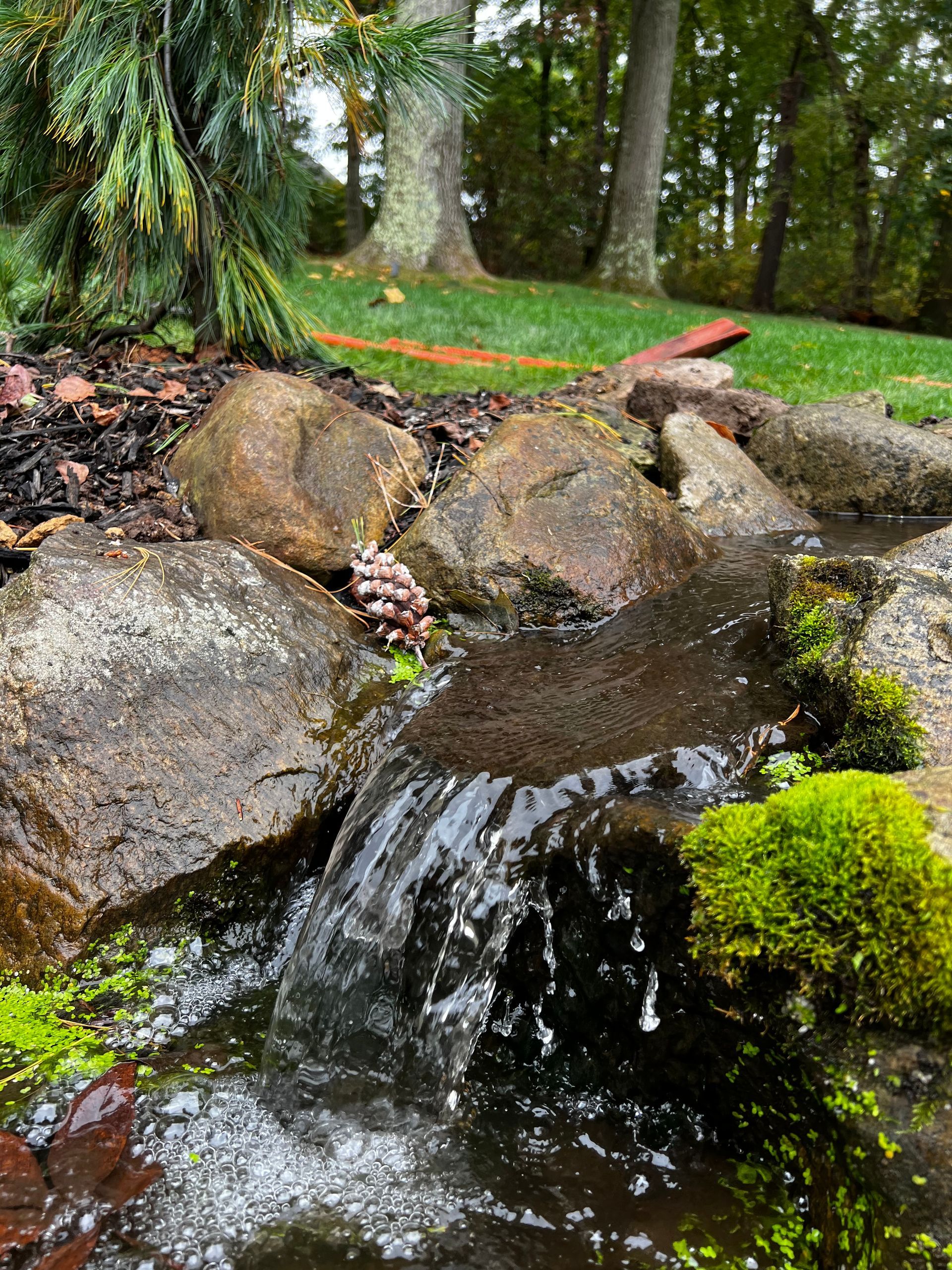 Small waterfall over mossy rocks in a wooded garden pond with ferns and trees.