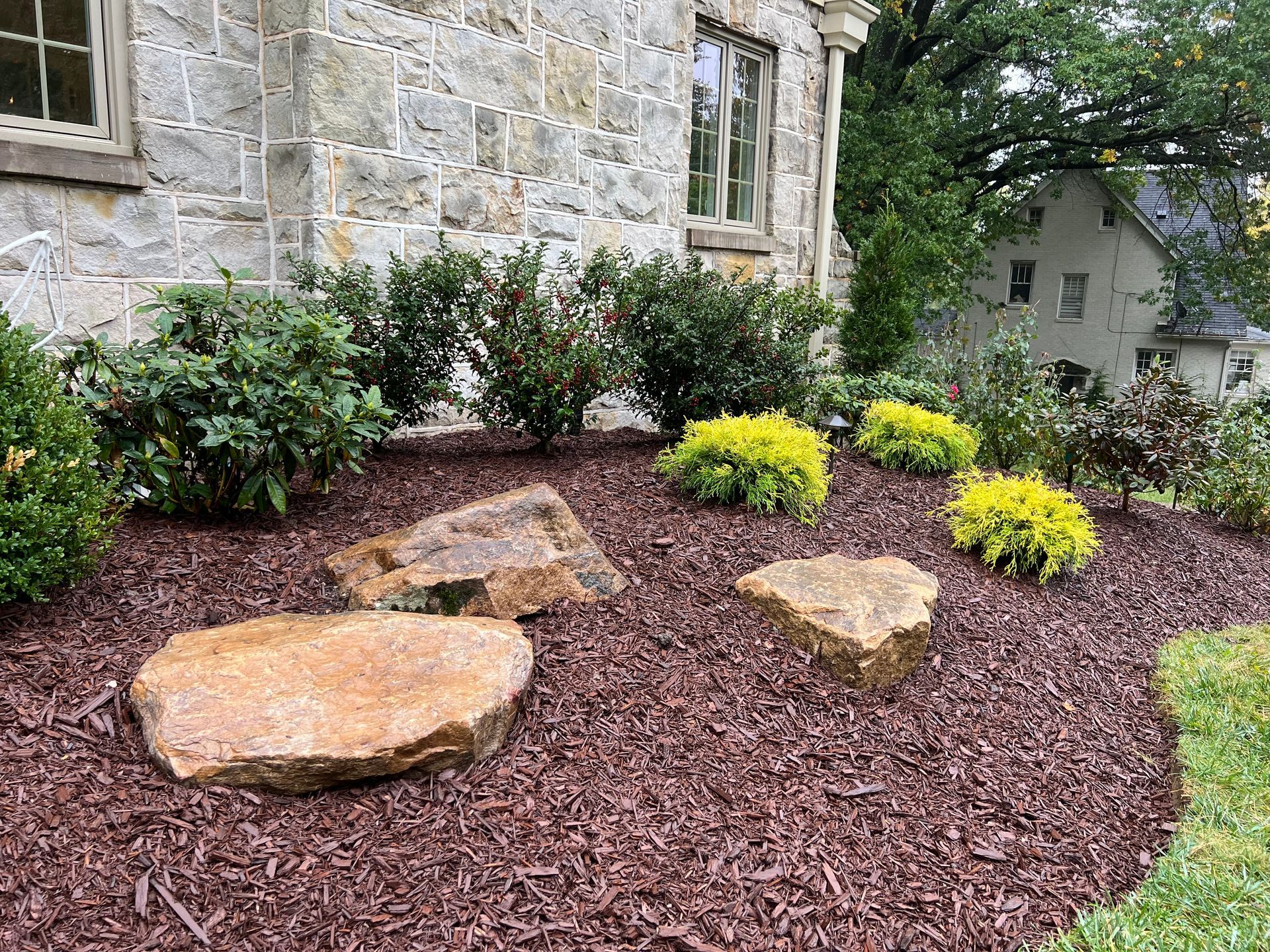 Stone house garden bed with brown mulch, large rocks, and yellow-green shrubs.