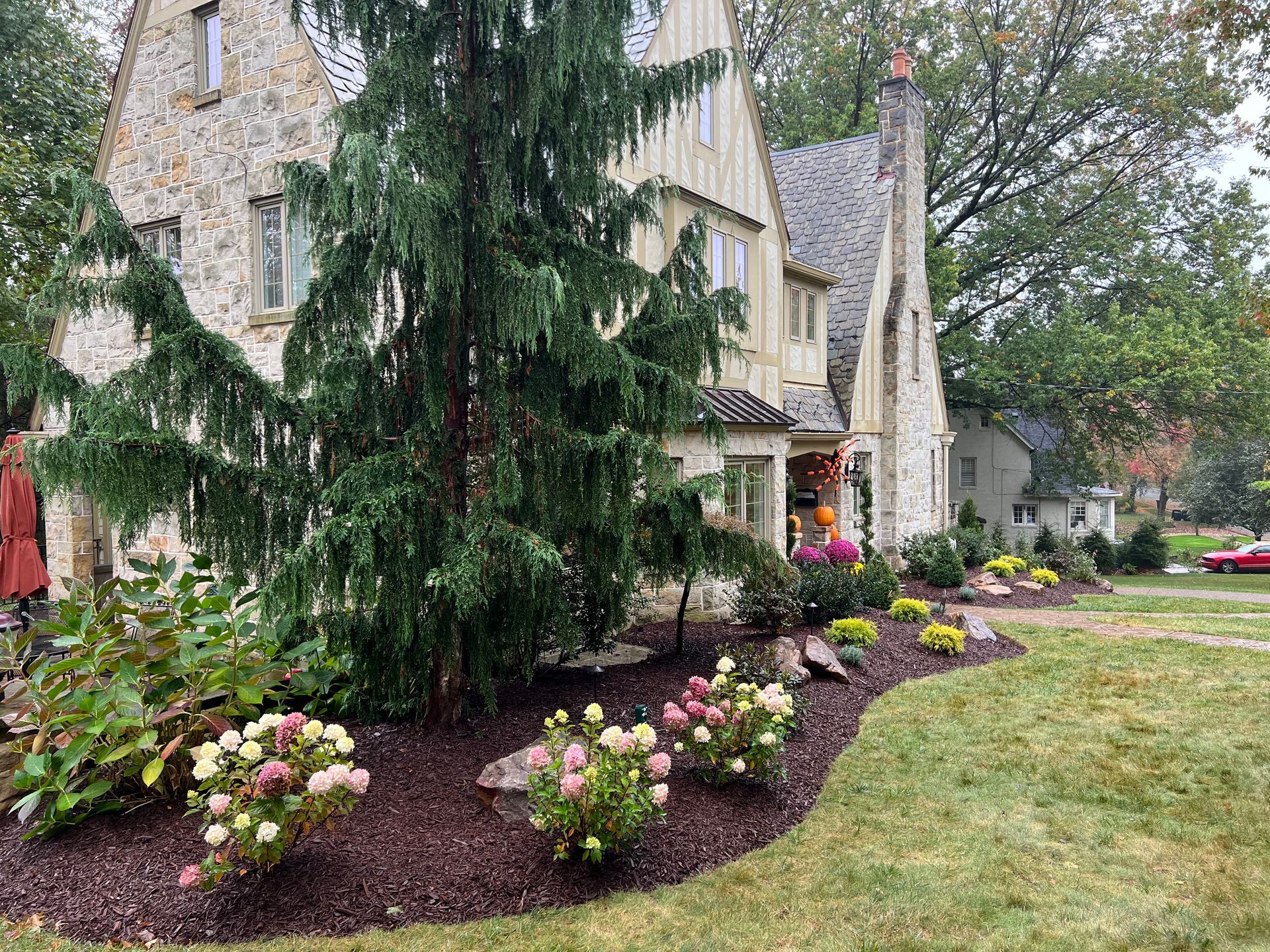 Stone house with ivy, pink flower beds, and a manicured lawn in a suburban yard