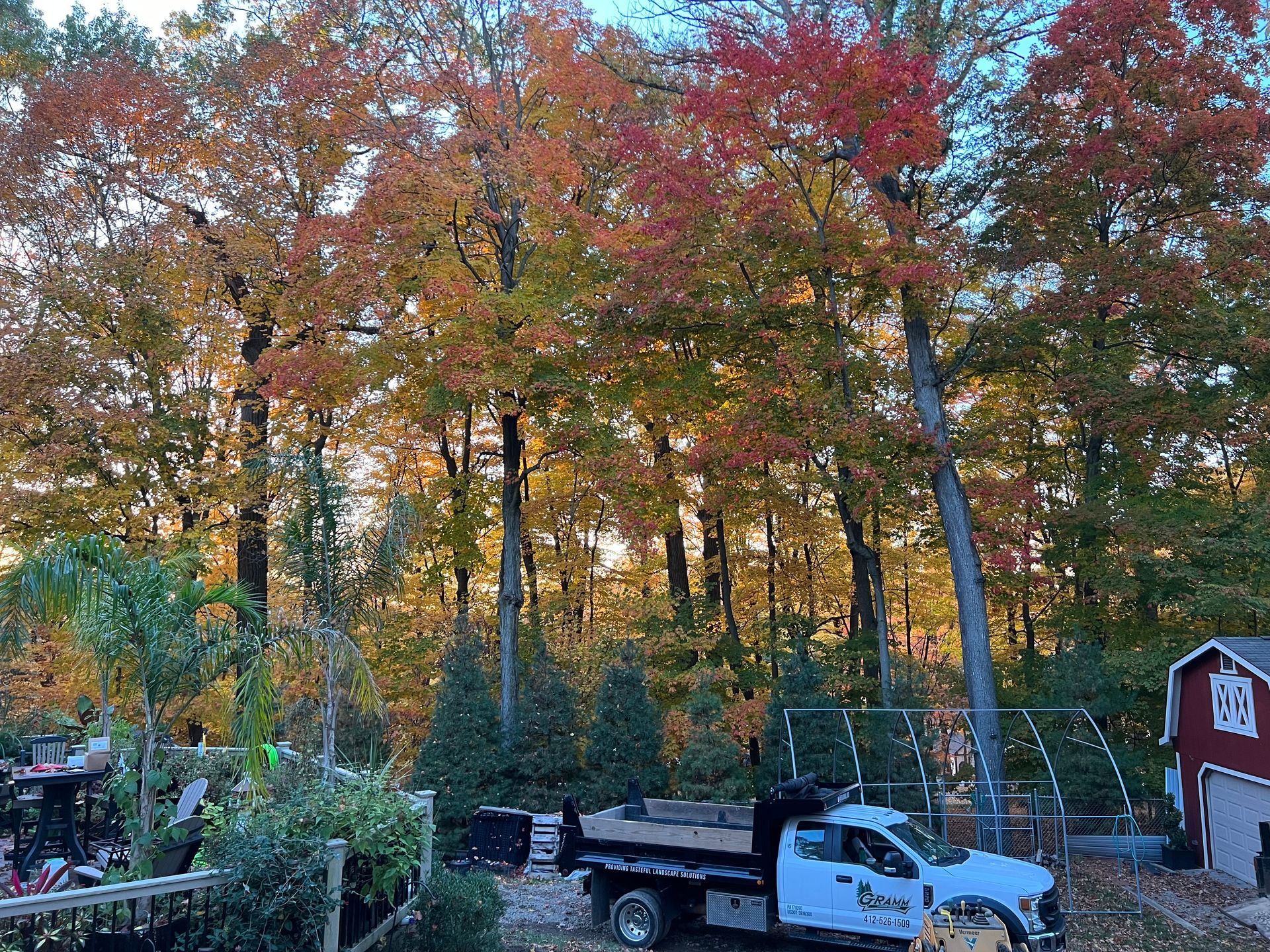 Autumn trees with colorful leaves behind a white truck and a red shed in a wooded yard