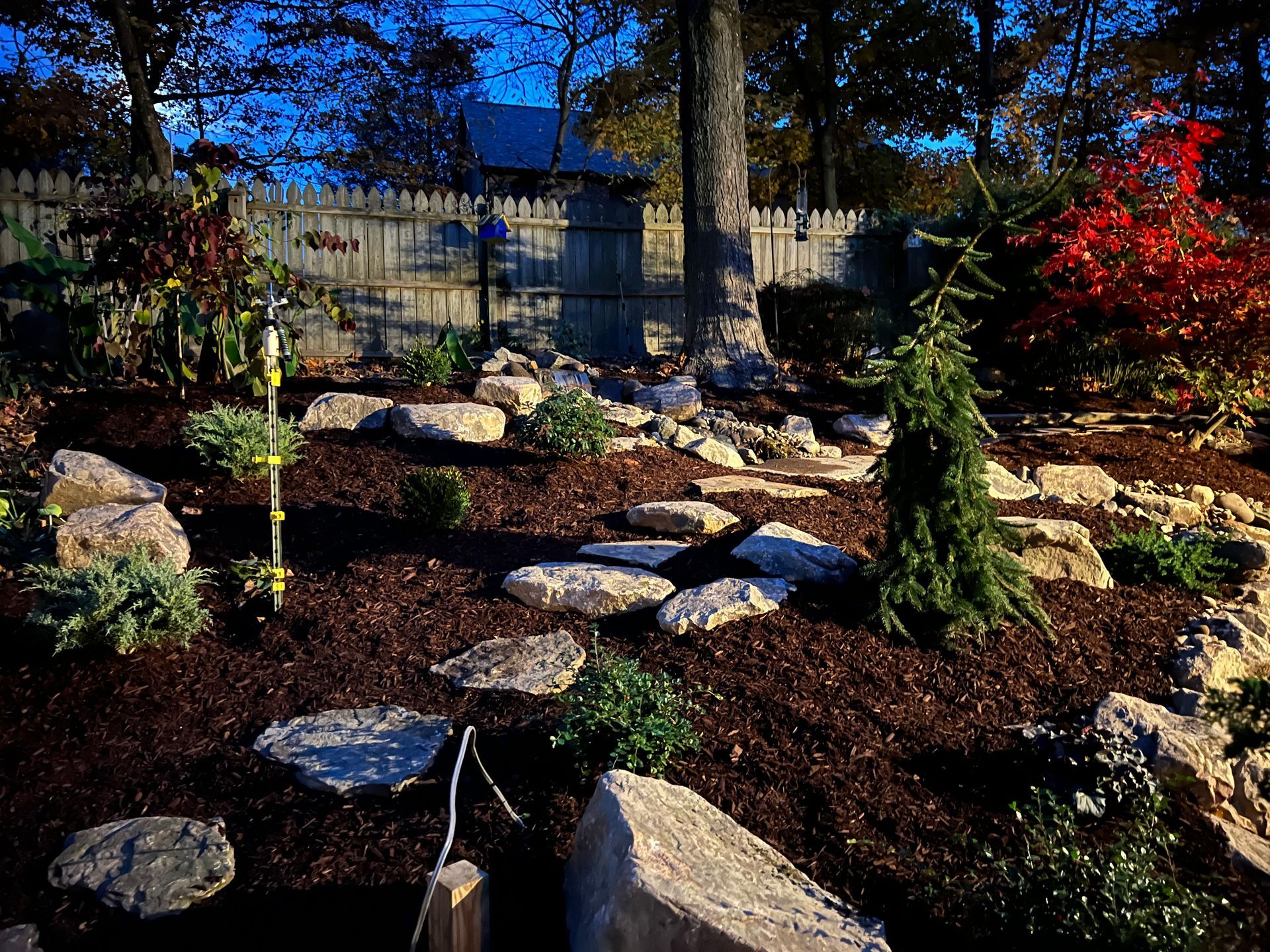 Rock garden with stones, mulch, and small evergreen shrubs in a fenced backyard under blue sky.
