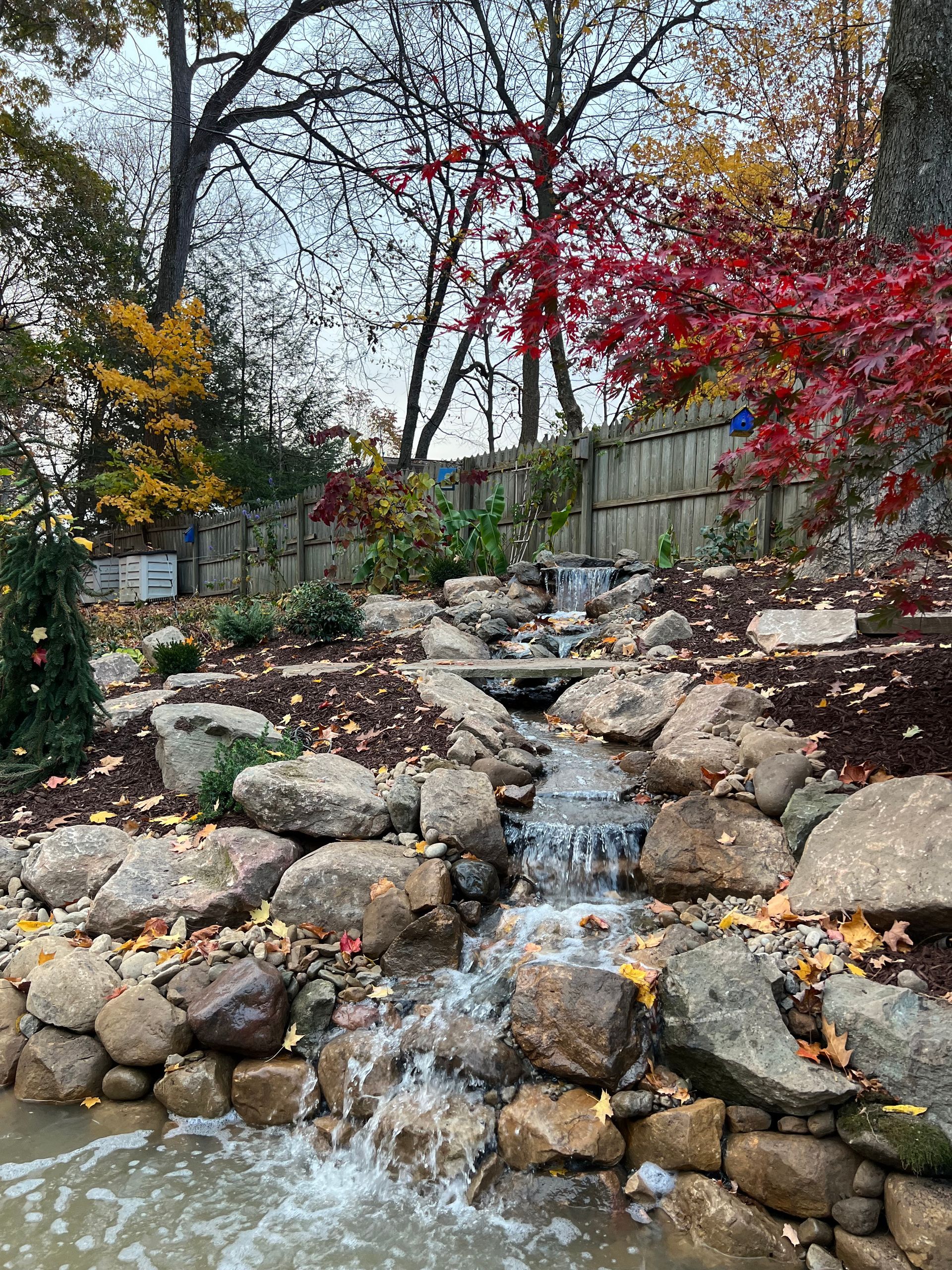 Rock waterfall in a landscaped garden with autumn trees and red foliage