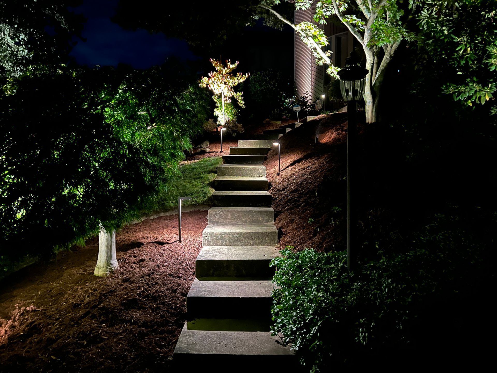 Lit stone steps leading up a dark garden path, lined with trees and a glowing decorative light.