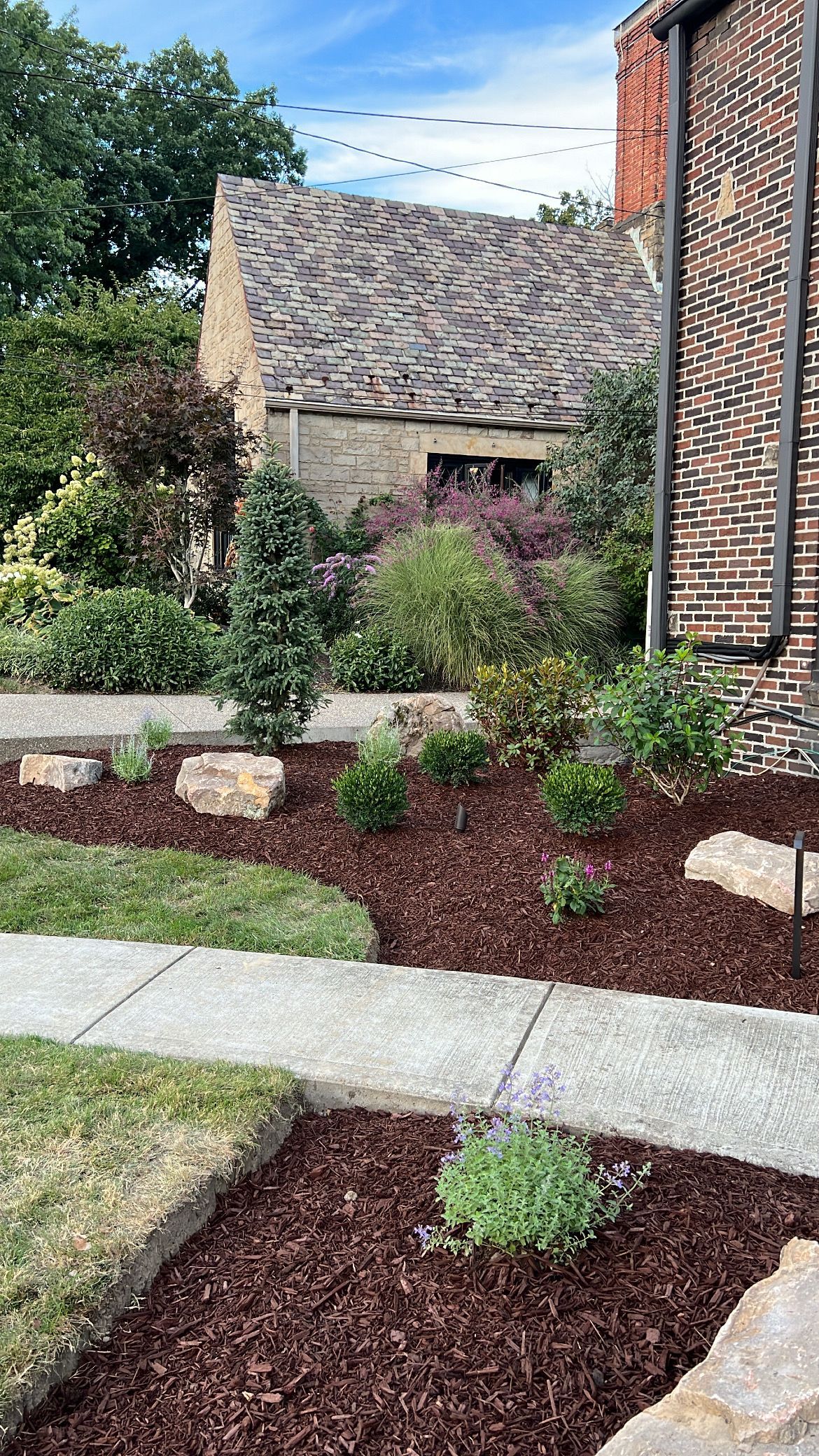 Landscaped front yard with mulch beds, stone walkway, shrubs, and a house with a shingled roof