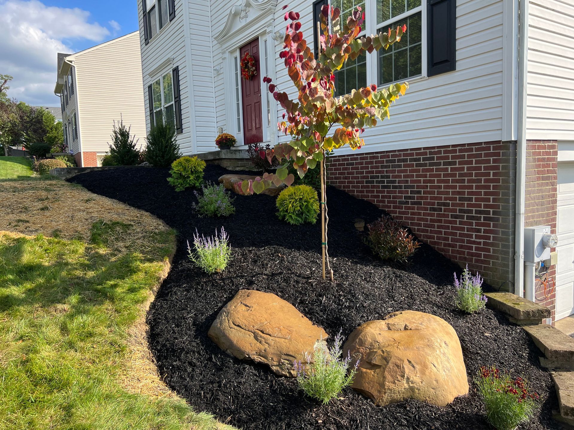 Front yard landscaping with mulch beds, rocks, and a young tree beside a house exterior