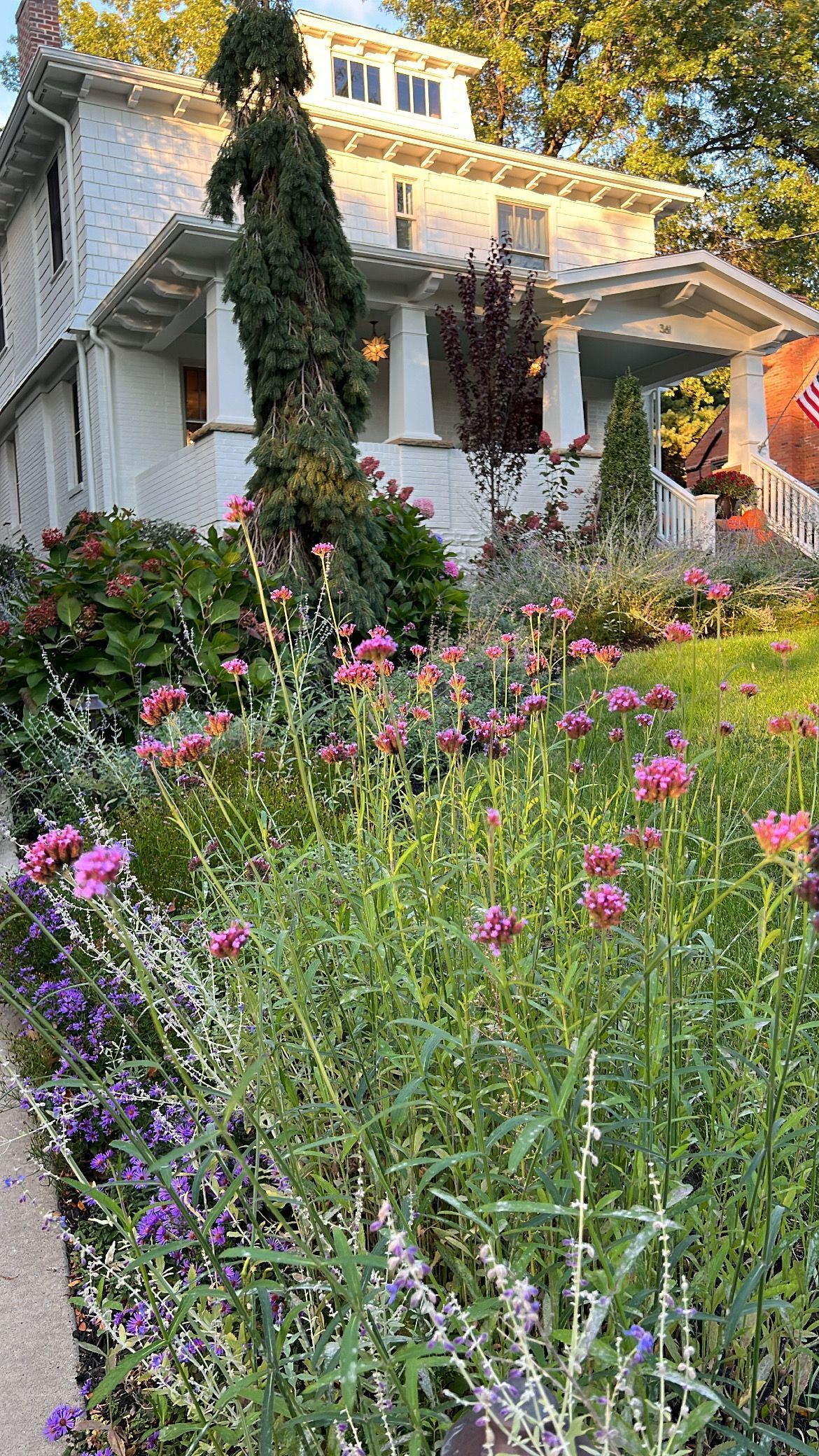 White house with ivy beside a lush flower garden of pink, purple, and white blooms