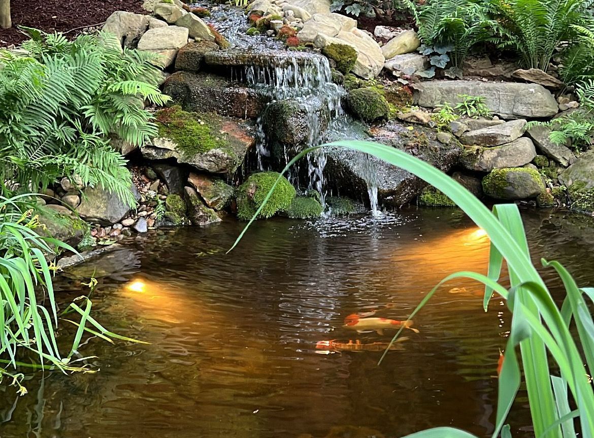 Garden pond waterfall over rocks with warm lights and lush green plants