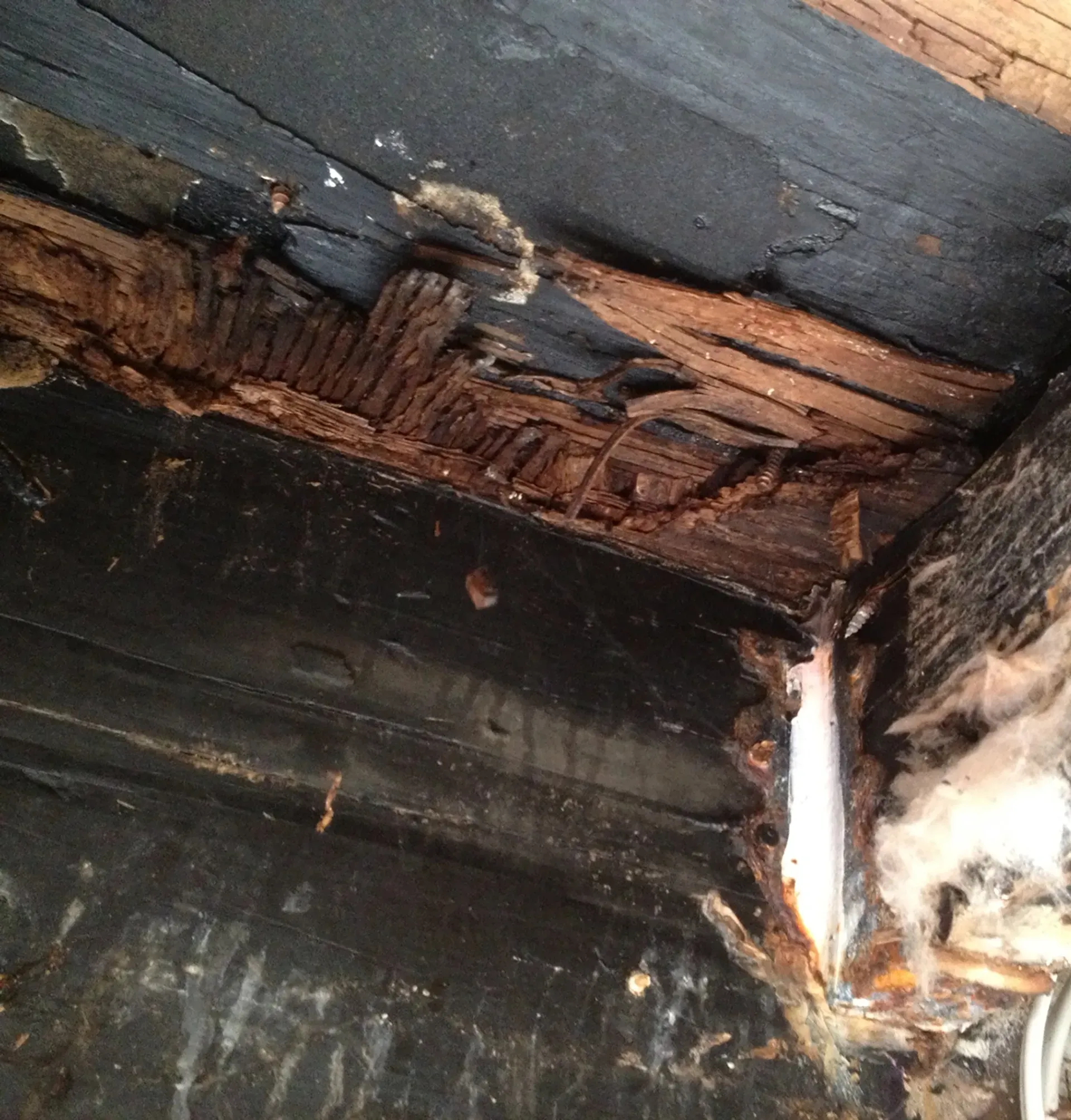 a close up of a piece of wood that has been eaten by termites