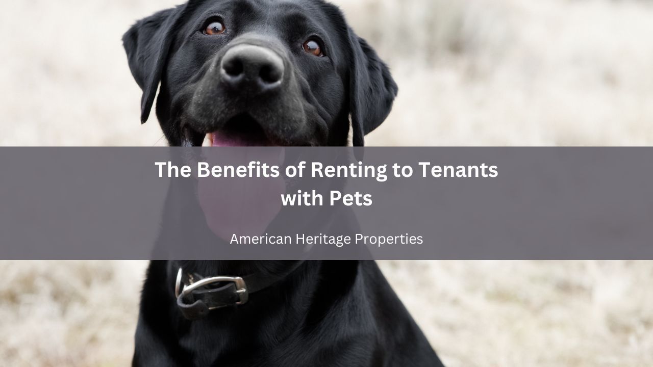 Deciding Whether or Not to Offer Pet-Friendly Rental Units