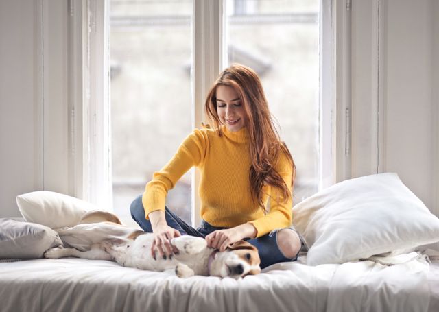 a person petting a dog on a bed