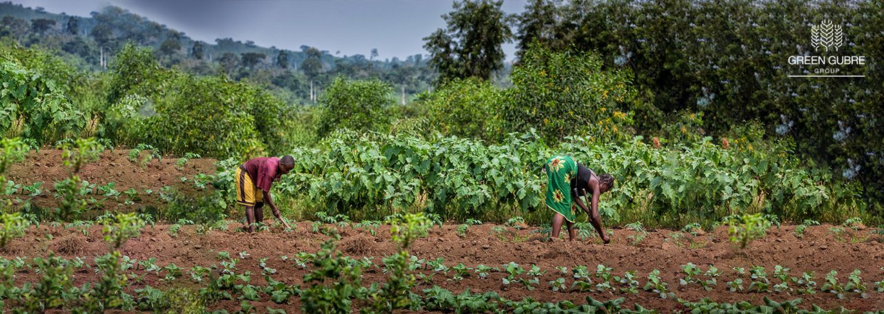 Africa’s Fertilizer Demand & Food Security | Green Gubre Group