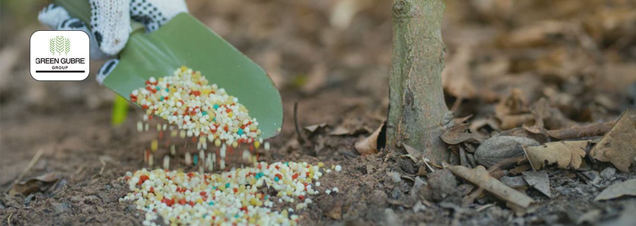 Bio-Based Fertilizers:
The Next Frontier in Sustainable Agriculture