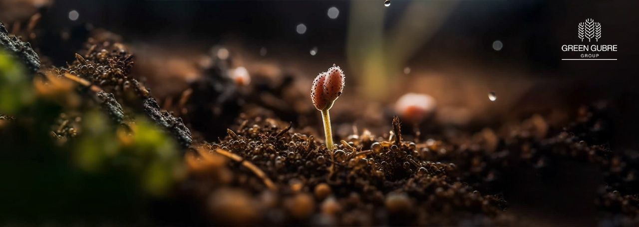 The Role of NPK Fertilizers in Strengthening Global Food Security