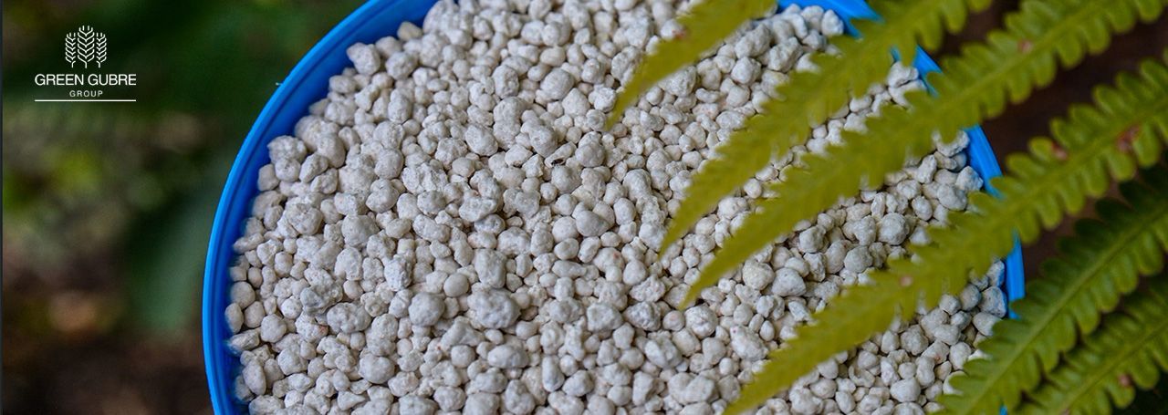 The Future of Sustainable Fertilizers:
Bio-Based Alternatives & Green Ammonia