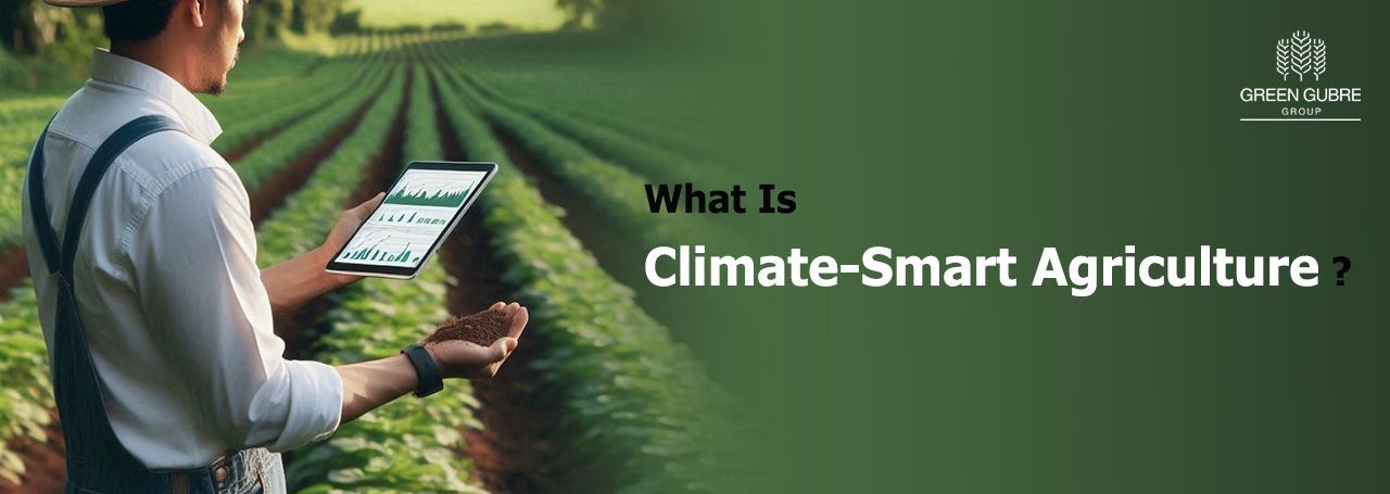 How Fertilizer Innovations Are Powering Climate-Smart Agriculture
