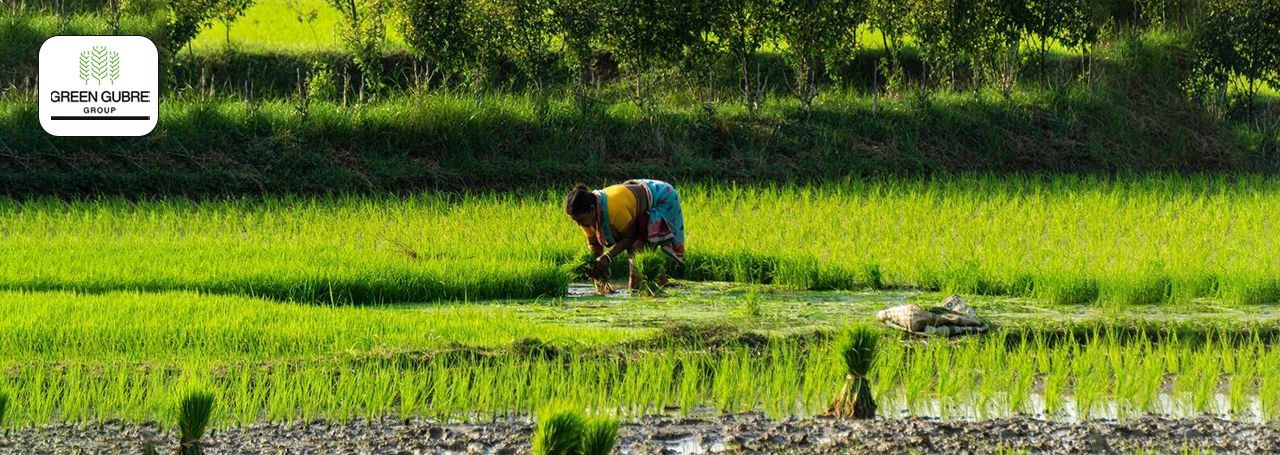 India’s Fertilizer Market in 2025 - Growth, Reforms & Opportunities