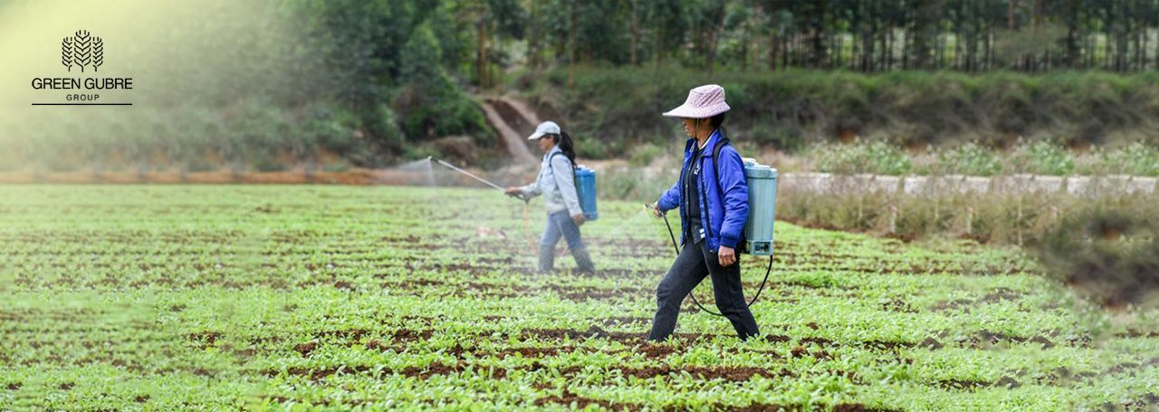 Understanding the Significance of China's Fertilizer Demand and Agricultural Innovation