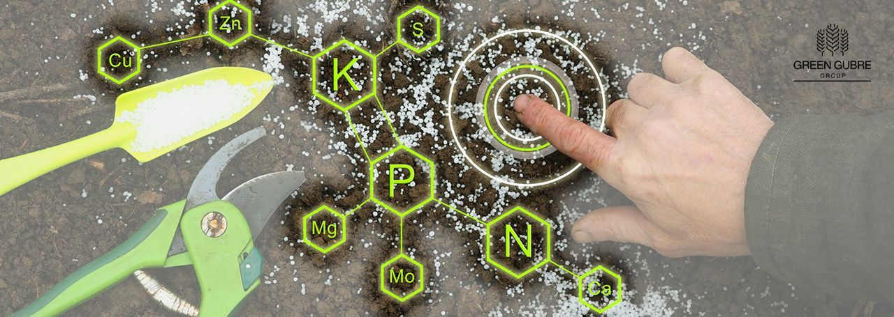 Feeding a Growing East Asia Fertilizer Demand and Innovation in 2025