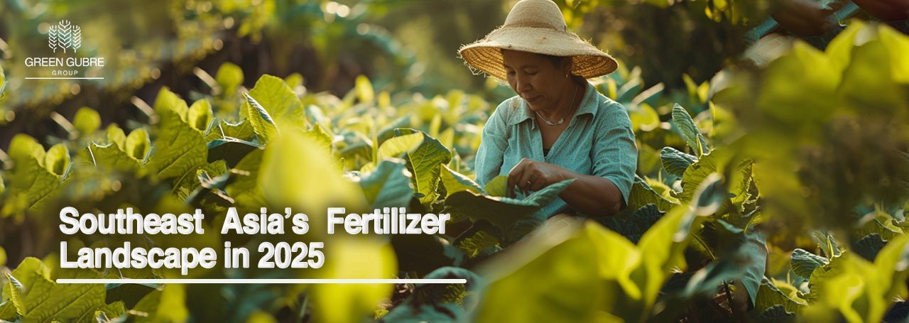 Southeast Asia’s Fertilizer Landscape in 2025
Securing Food Through Innovation and Access