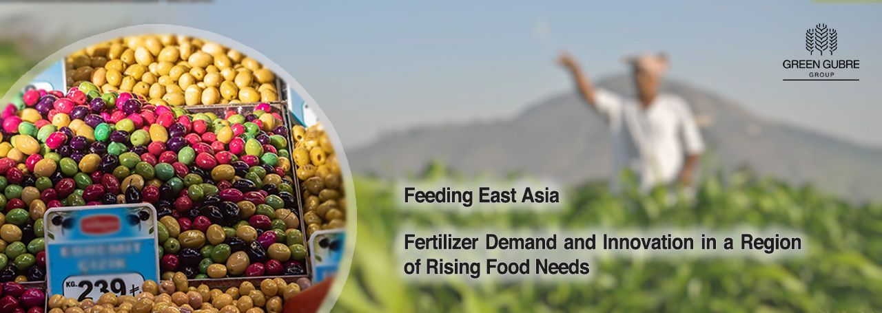 Feeding East Asia – Fertilizer Demand and Innovation in a Region of Rising Food Needs