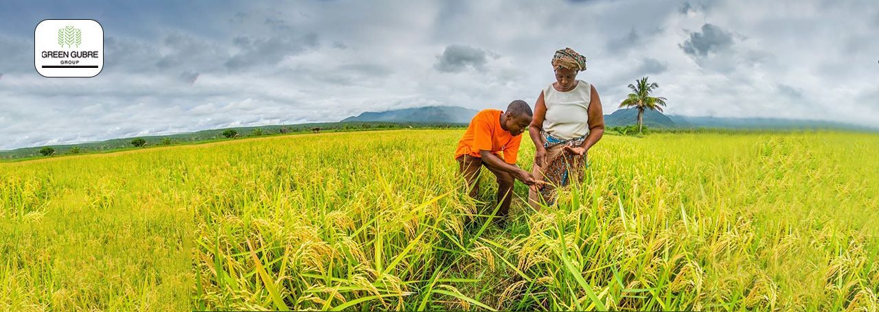 Fertilizer Dynamics in East Asia – Balancing Supply Strength with Emerging Demand
