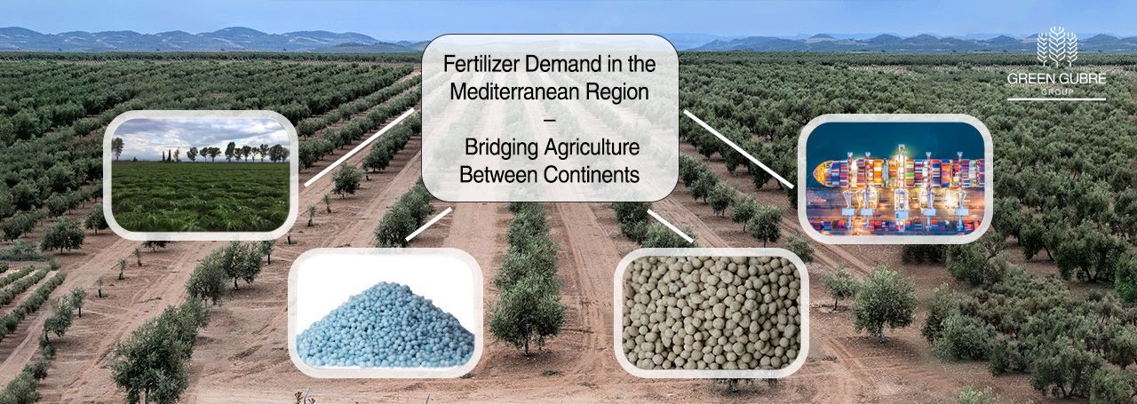 Fertilizer Demand in the Mediterranean Region – Bridging Agriculture Between Continents