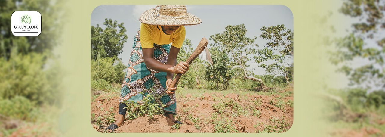 Africa’s Fertilizer Blending Revolution – Local Value Addition and Job Creation