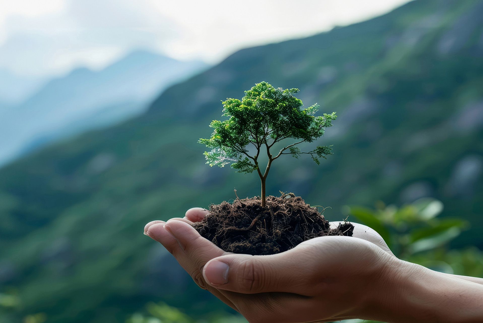 Driving Sustainability and Industry Growth